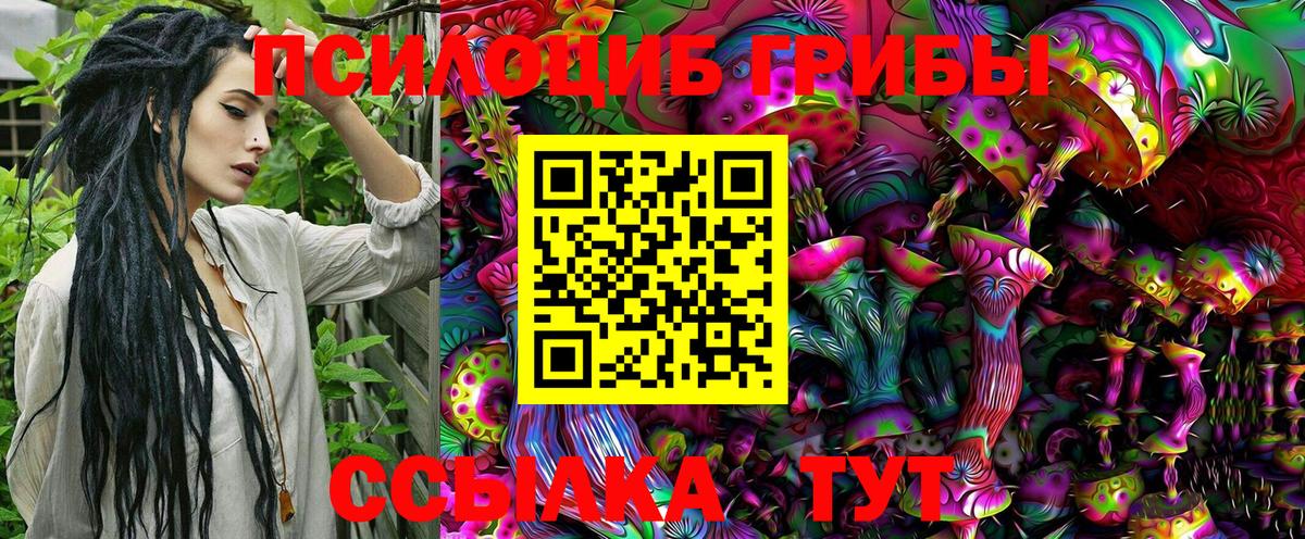 Псилоцибиновые грибы Psilocybine cubensis  Вход с VPN  Сыктывкар 